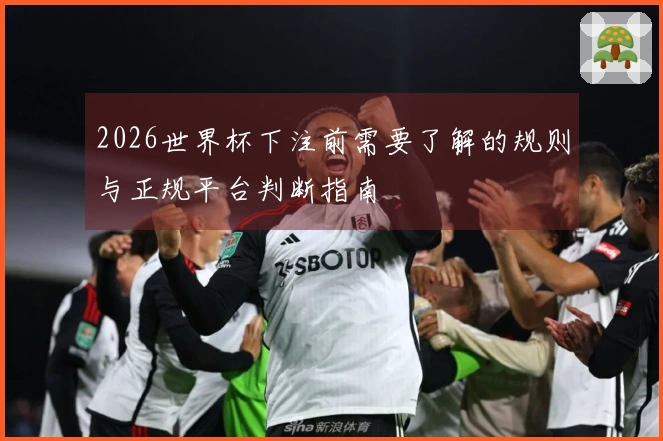 2026世界杯下注前需要了解的规则与正规平台判断指南