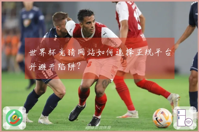 世界杯竞猜网站如何选择正规平台并避开陷阱？