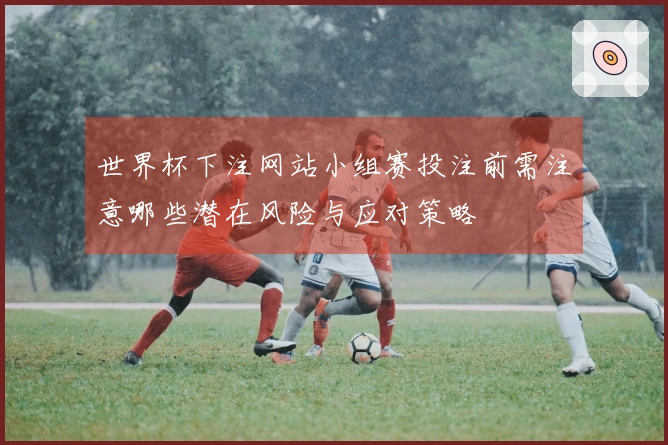 世界杯下注网站小组赛投注前需注意哪些潜在风险与应对策略