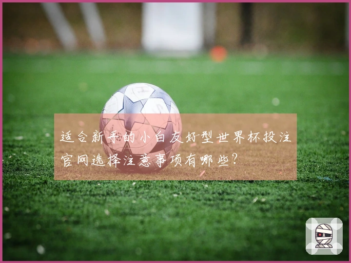适合新手的小白友好型世界杯投注官网选择注意事项有哪些？