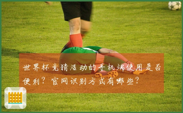 世界杯竞猜活动的手机端使用是否便利？官网识别方式有哪些？