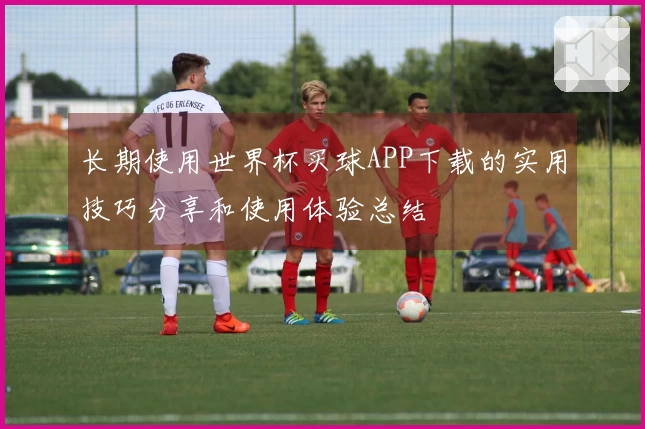长期使用世界杯买球APP下载的实用技巧分享和使用体验总结