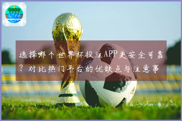 选择哪个世界杯投注APP更安全可靠？对比热门平台的优缺点与注意事项
