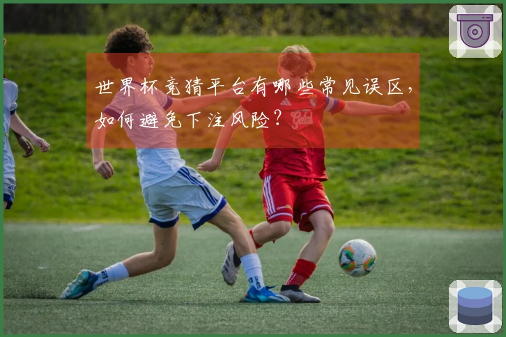 世界杯竞猜平台有哪些常见误区，如何避免下注风险？