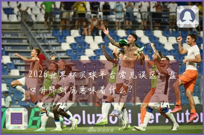 2026世界杯买球平台常见误区：盘口升降到底意味着什么？