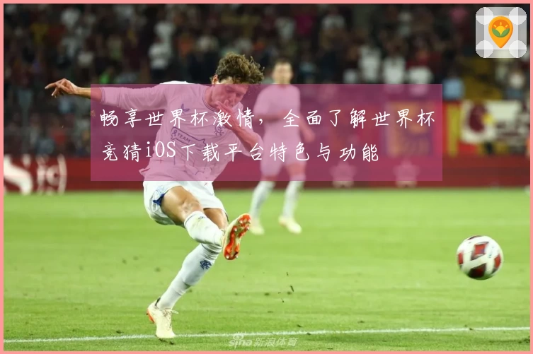 畅享世界杯激情，全面了解世界杯竞猜iOS下载平台特色与功能