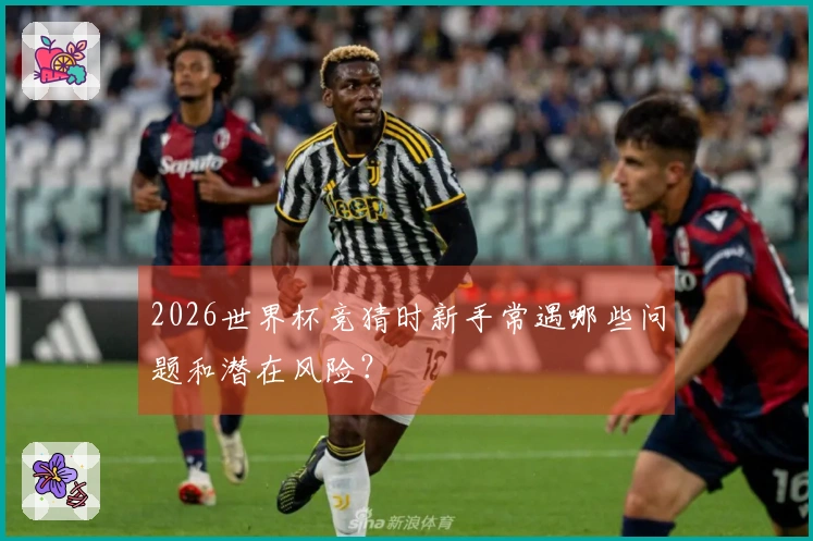 2026世界杯竞猜时新手常遇哪些问题和潜在风险？