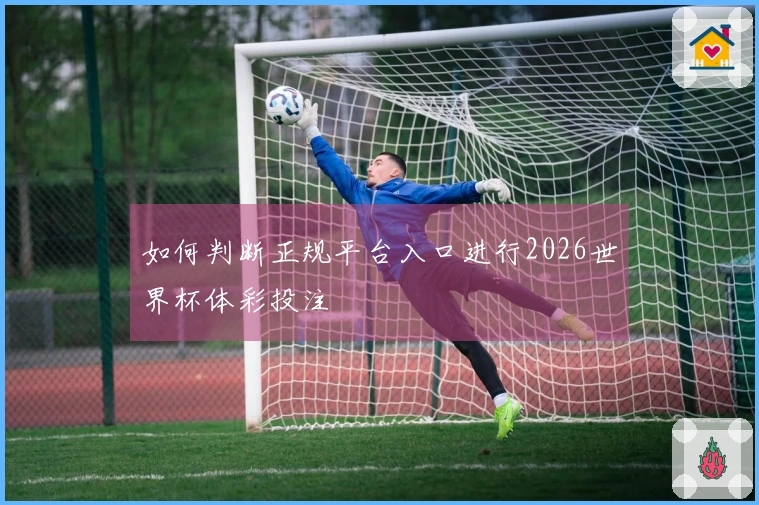 如何判断正规平台入口进行2026世界杯体彩投注