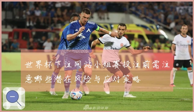 世界杯下注网站小组赛投注前需注意哪些潜在风险与应对策略