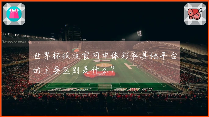 世界杯投注官网中体彩和其他平台的主要区别是什么？
