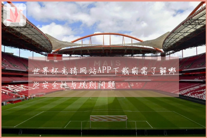 世界杯竞猜网站APP下载前需了解哪些安全性与规则问题