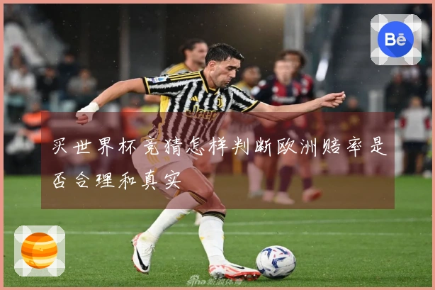 买世界杯竞猜怎样判断欧洲赔率是否合理和真实