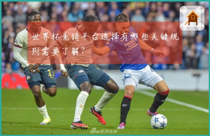 世界杯竞猜平台选择有哪些关键规则需要了解？
