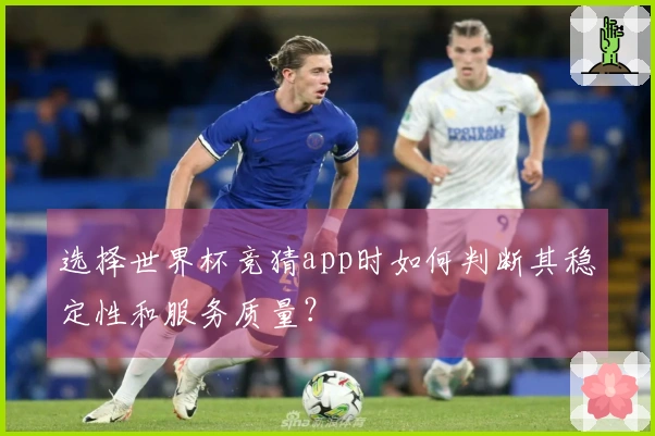 选择世界杯竞猜app时如何判断其稳定性和服务质量？