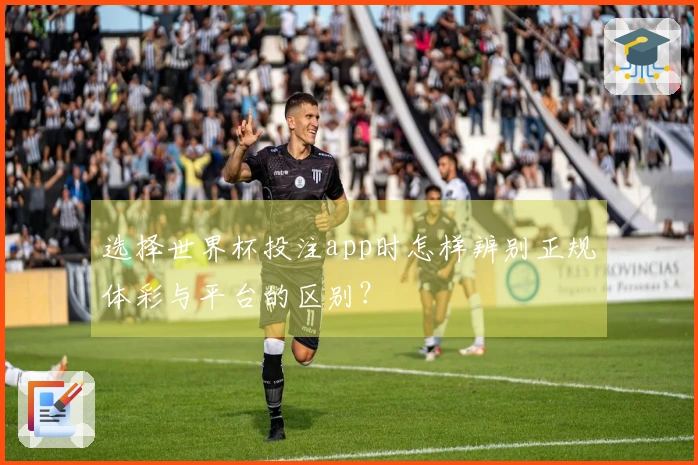 选择世界杯投注app时怎样辨别正规体彩与平台的区别？